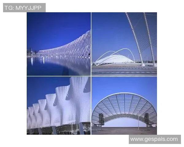 体育场馆设计背后的趣闻与创新理念：从外观到功能的巧妙构思